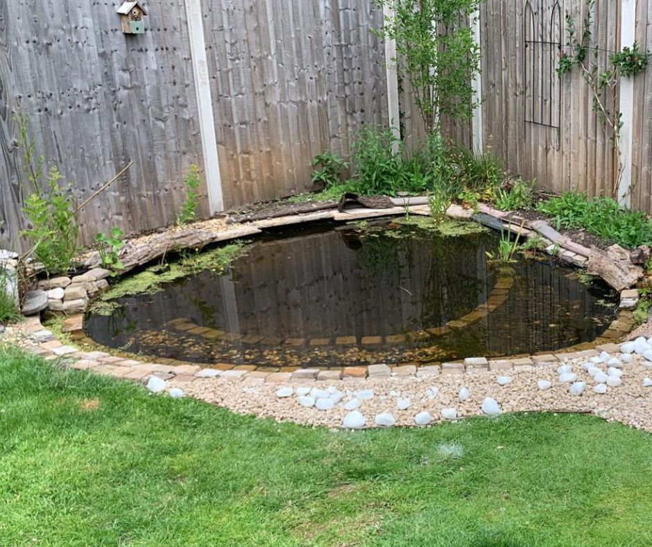 A photo of a pond