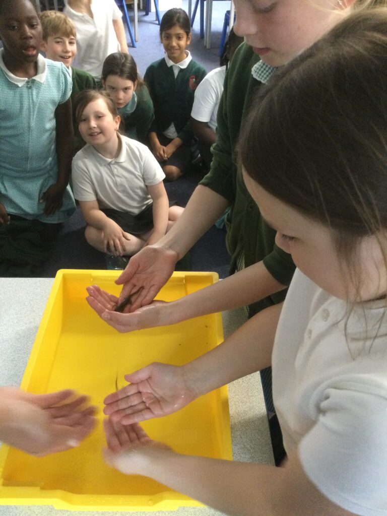 St Vincents Children loving the hands on demonstration