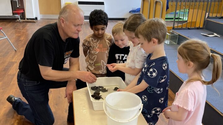 children with newts