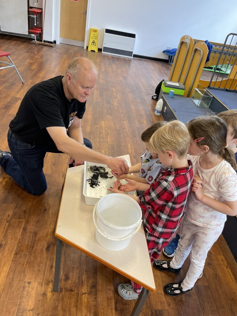 man demonstrating newts to children