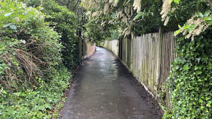 Sparrow Lane after the volunteer clearing session