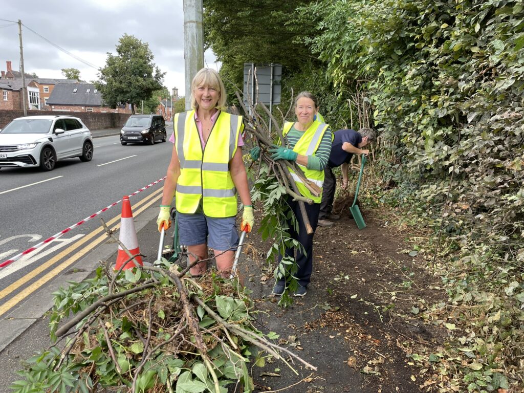 A women with a wheelbarrow of hedge cuttings by the roadside