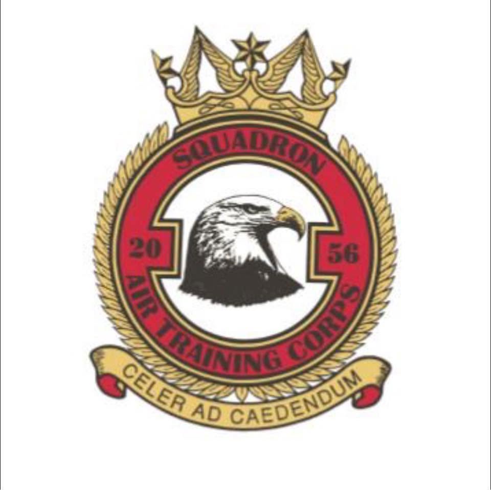 Knutsford Air Cadets 2056 squadron crest. an Eagle head surrounded by a red ring topped with a gold crown.