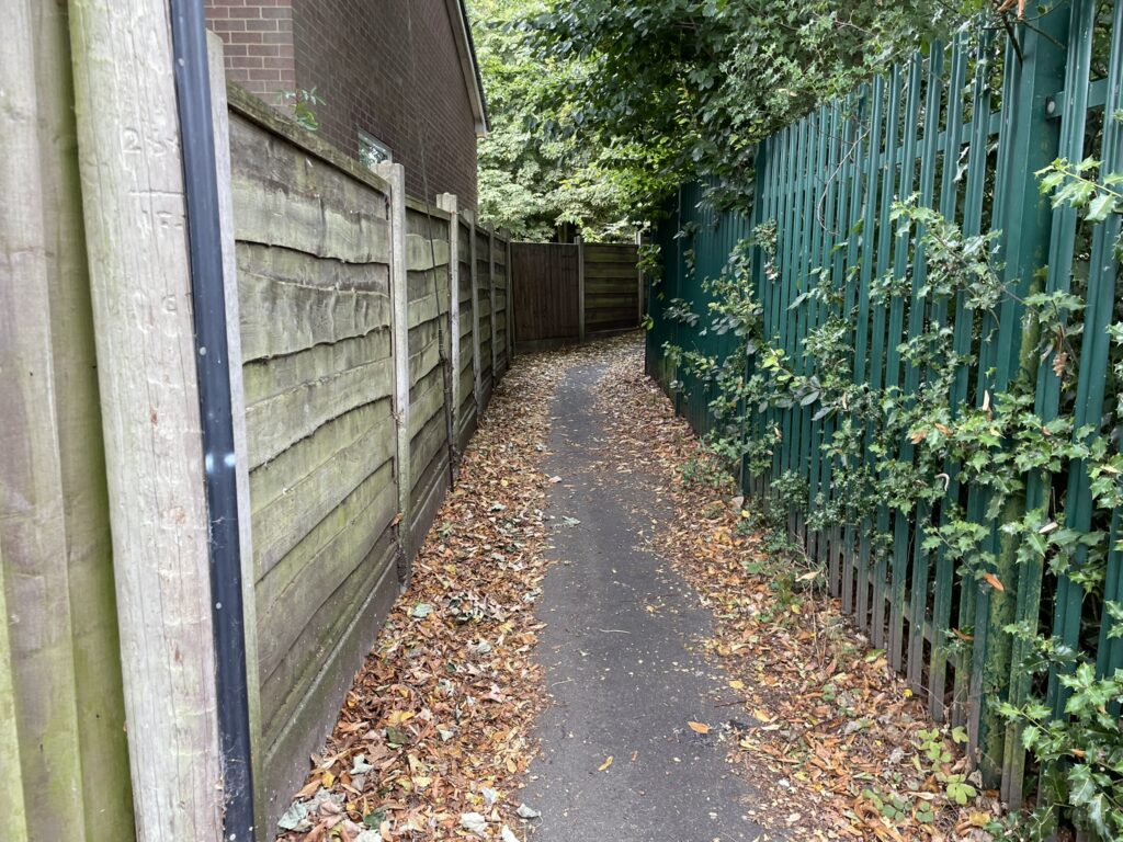 A footpath covered in leaf litter